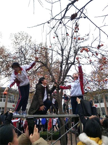 柿子节 | 奋斗正青春,永远跟党走!