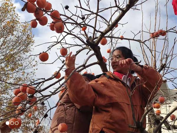 柿子节 | 奋斗正青春,永远跟党走!