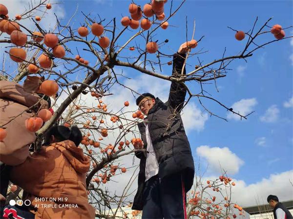 柿子节 | 奋斗正青春,永远跟党走!