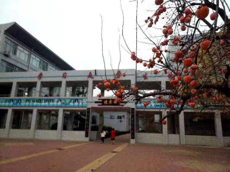 家长心声 | 春风化雨，柿满枝头！