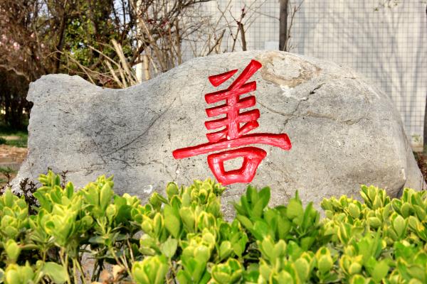 惟有终南山色在，桃李玉兰望杜鹃！