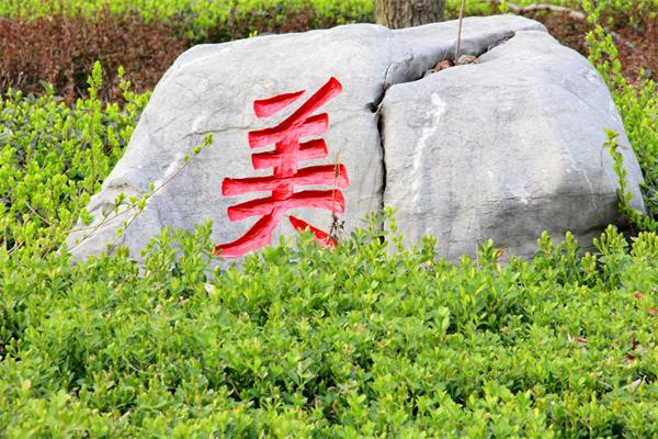 惟有终南山色在，桃李玉兰望杜鹃！