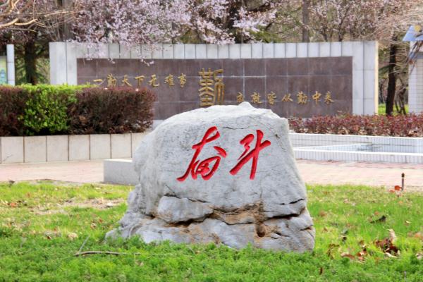 惟有终南山色在，桃李玉兰望杜鹃！