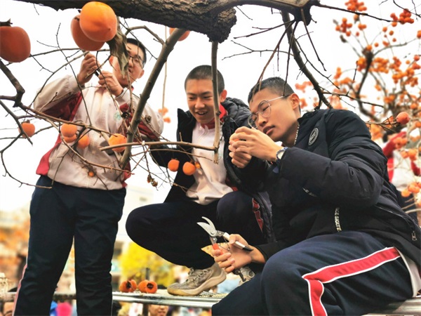 柿子节 | 一勤天下无难事，笃志报国正当时！