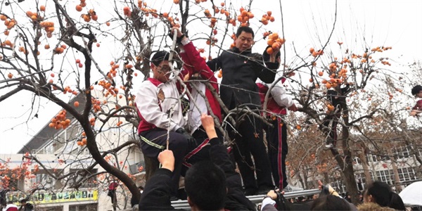 柿子节 | 一勤天下无难事，笃志报国正当时！
