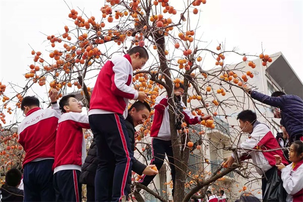 柿子节 | 一勤天下无难事，笃志报国正当时！