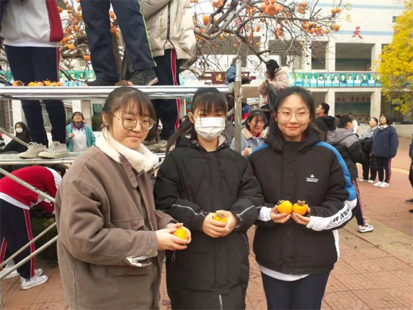 柿子节 | 一勤天下无难事，笃志报国正当时！
