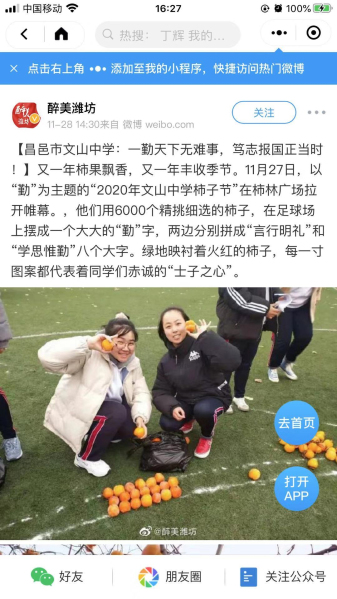 多家媒体报道我校柿子节！