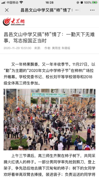 多家媒体报道我校柿子节！