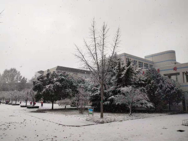 校园文化 | 漫天玉蝶飞，雪后文中别样美！