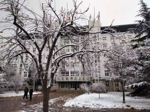 校园文化 | 漫天玉蝶飞，雪后文中别样美！