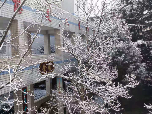 校园文化 | 漫天玉蝶飞，雪后文中别样美！