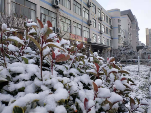 校园文化 | 漫天玉蝶飞，雪后文中别样美！