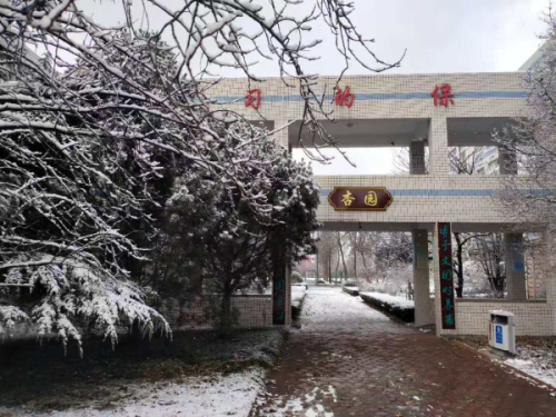 校园文化 | 漫天玉蝶飞，雪后文中别样美！