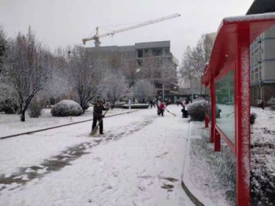 校园文化 | 漫天玉蝶飞，雪后文中别样美！