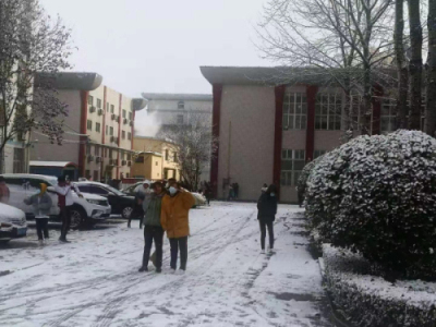 校园文化 | 漫天玉蝶飞，雪后文中别样美！