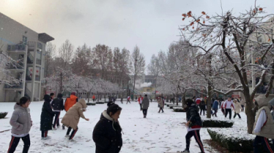 校园文化 | 漫天玉蝶飞，雪后文中别样美！