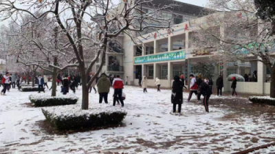 校园文化 | 漫天玉蝶飞，雪后文中别样美！