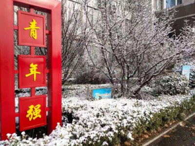校园文化 | 漫天玉蝶飞，雪后文中别样美！