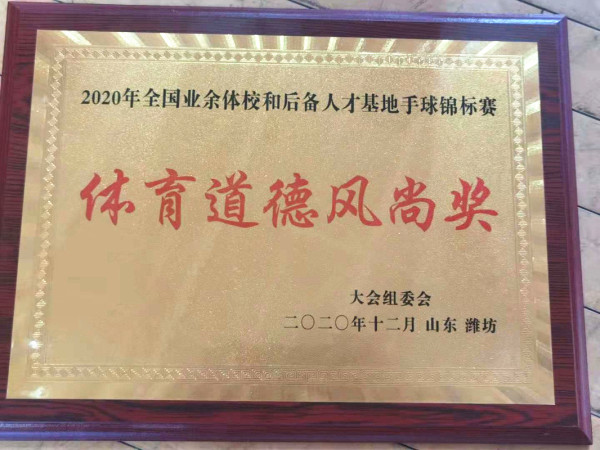 喜报 | 热烈祝贺我校手球队再夺全国冠军！