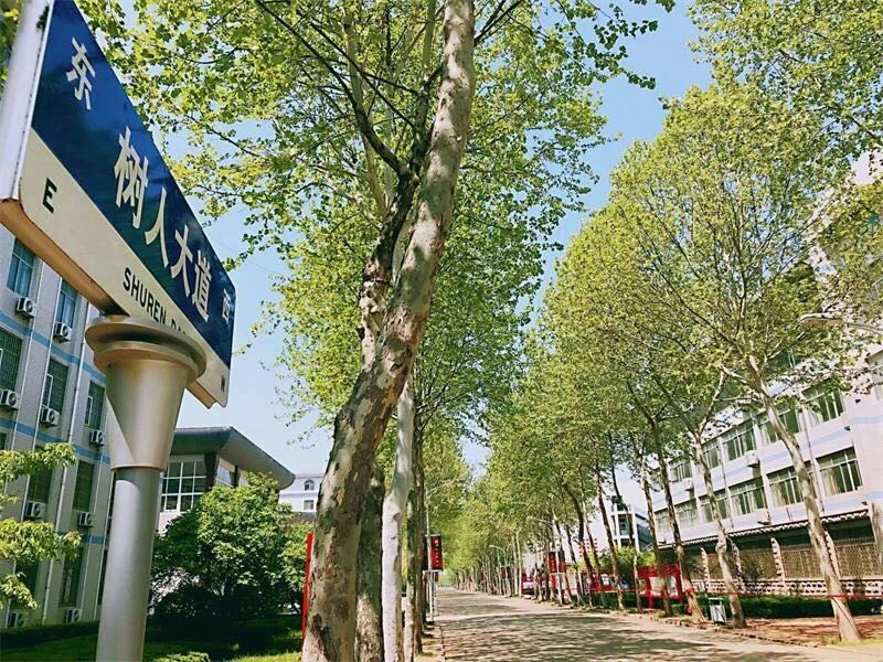 最美校园 | 那一瞬，我就爱上这里！