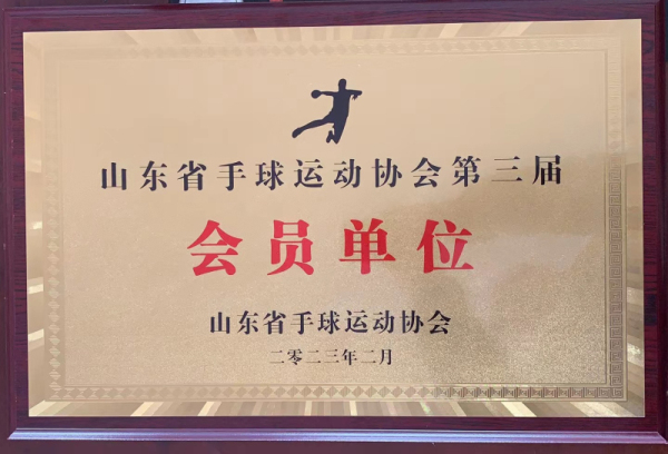 祝贺我校被评为山东省手球运动协会第三届会员单位！